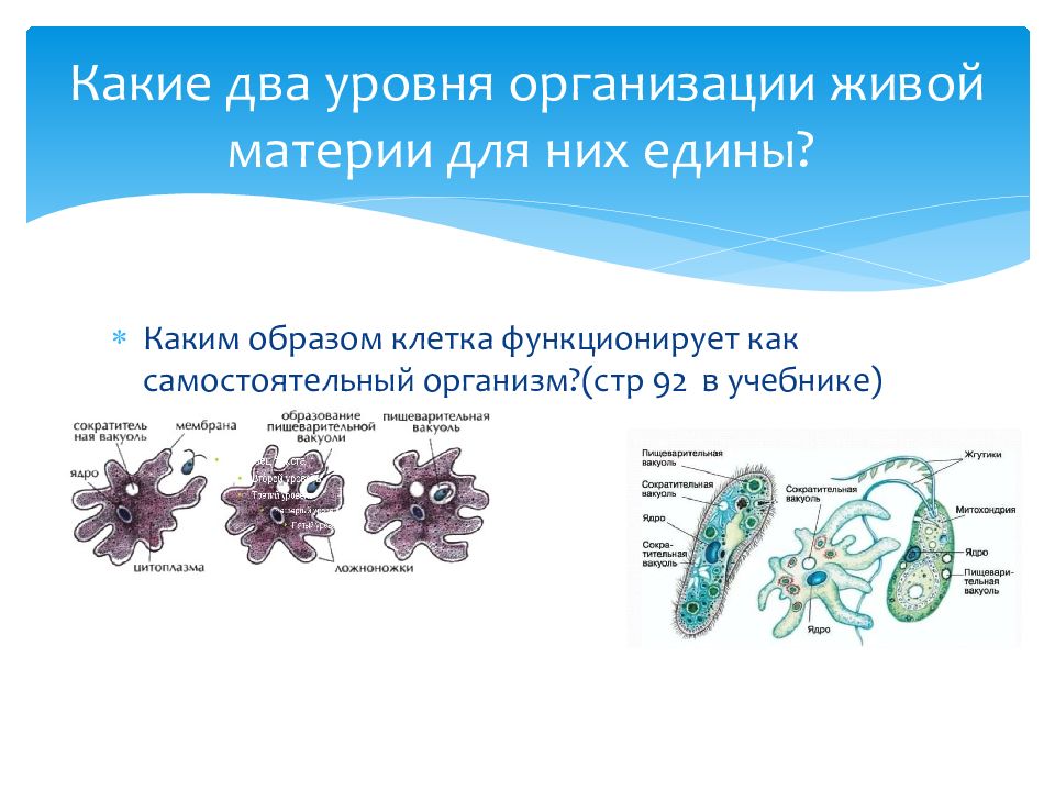 Презентация организм как единое целое 6 класс сонин