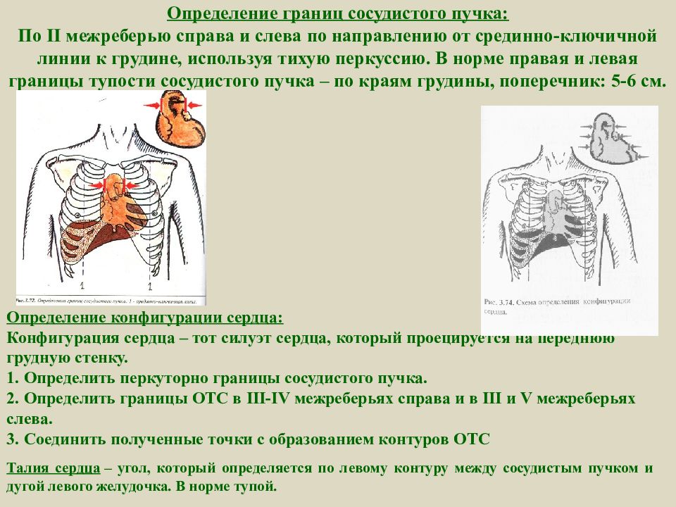 Пропедевтика сердечно сосудистой системы презентация