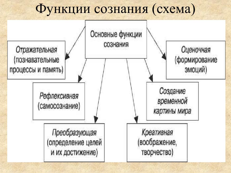 3 составьте обобщенную схему характеристики сознания человека