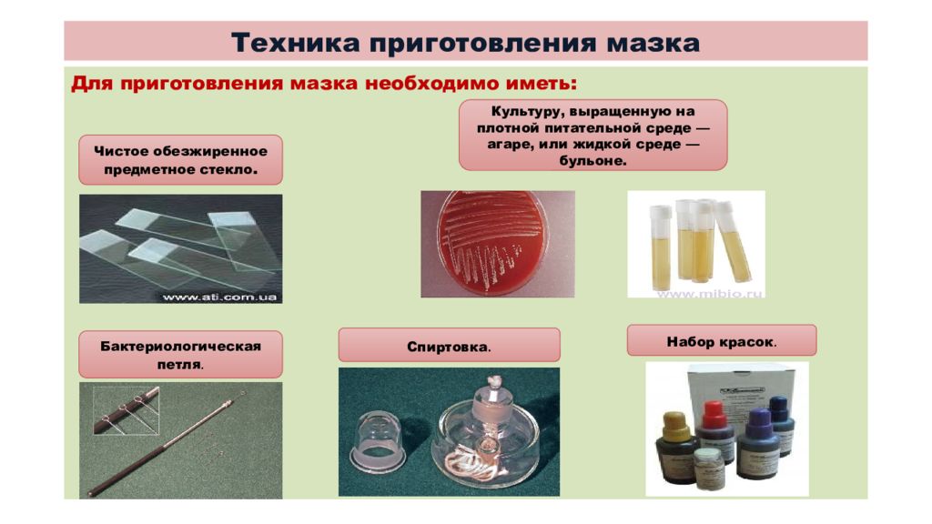 Техника приготовления. Методика приготовления мазка микробиология. Этапы приготовления мазка из плотной питательной среды. Методы приготовления мазков микробиология. Этапы приготовления микробиологического мазка.