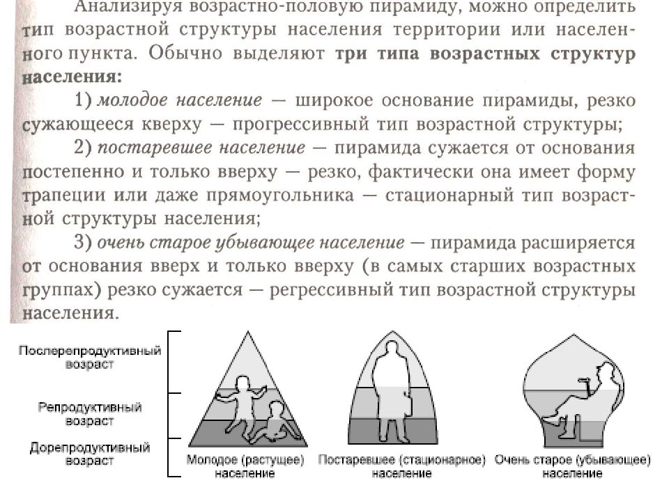 DEMOGRAFIYa OZO tnn