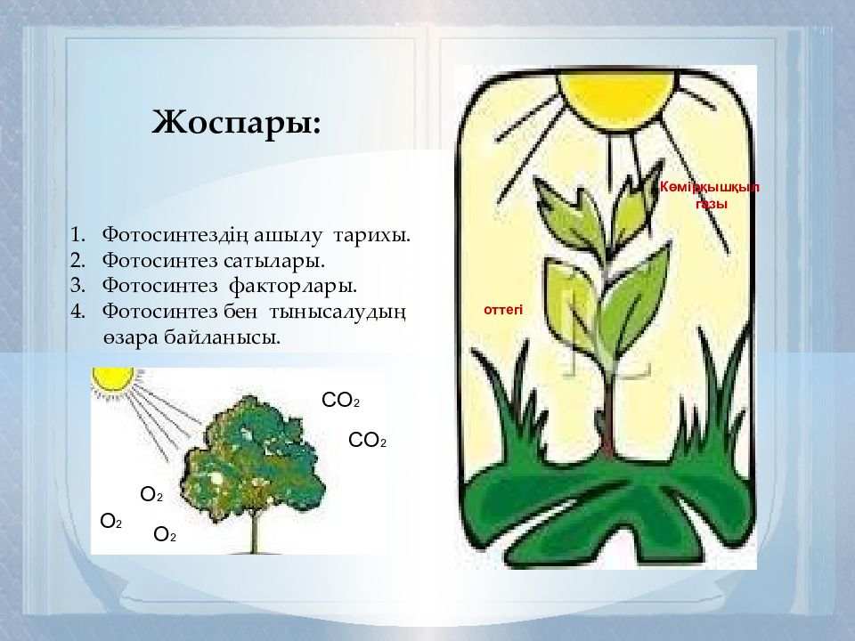 Фотосинтез уникальное природное явление презентация