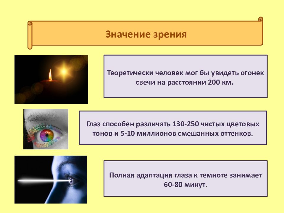 Значение зрения. Значение органа зрения. Значение зрения для человека. Пименов презентация орган зрения.