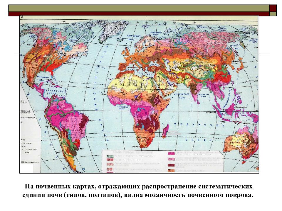 Почвенная карта школьного атласа дает. Карта почв в мире.