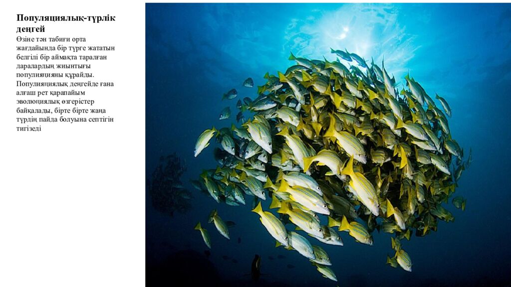 Сабақтың мақсаттары 5.4.2.2. Тірі ағзалардың құрылымдық деңгейлерін