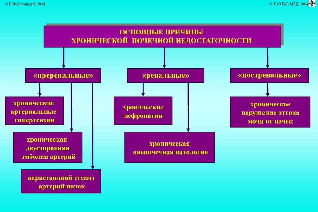 Острая почечная недостаточность патогенез