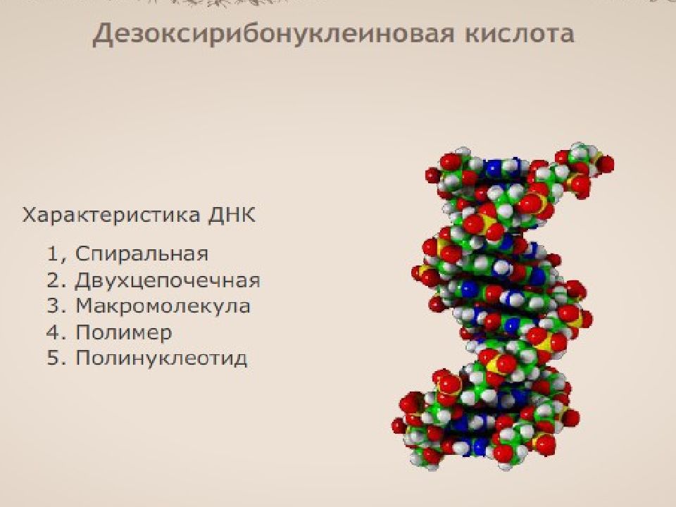 Химическая организация живой природы