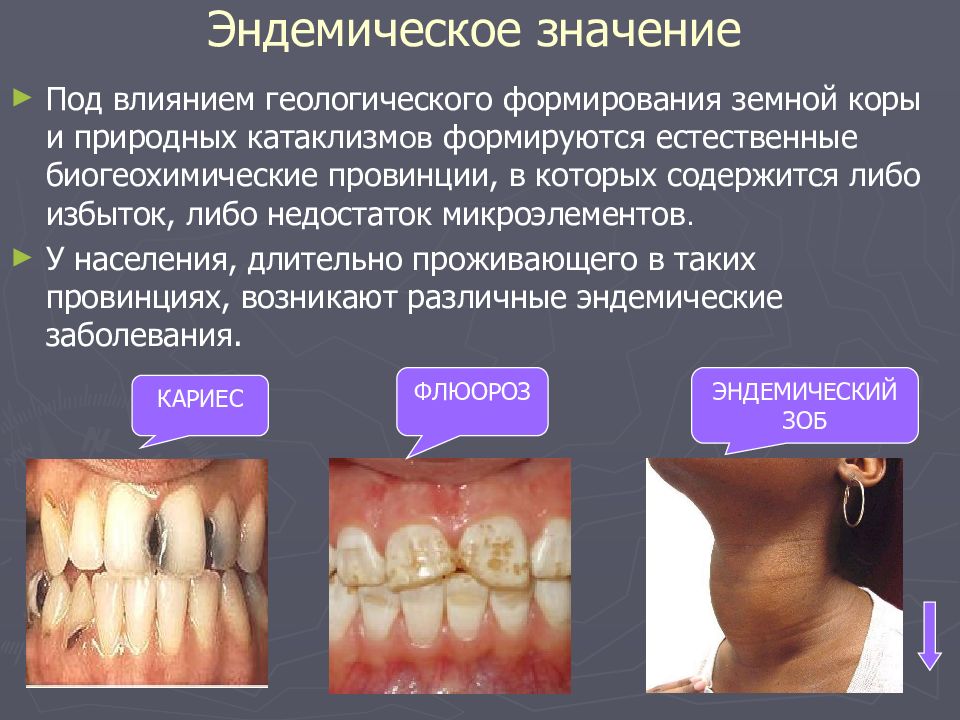 Эпидемиологическое значение почвы презентация