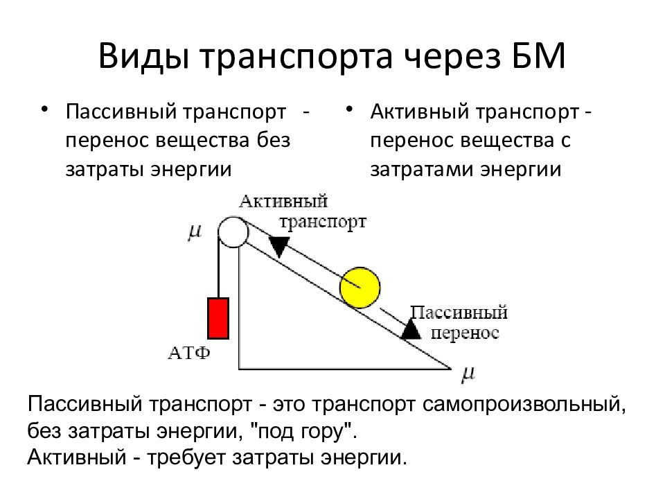 Перенос вещества и энергии. Энергия пассивности. Видов транспорта идут самопроизвольно (без затраты энергии.