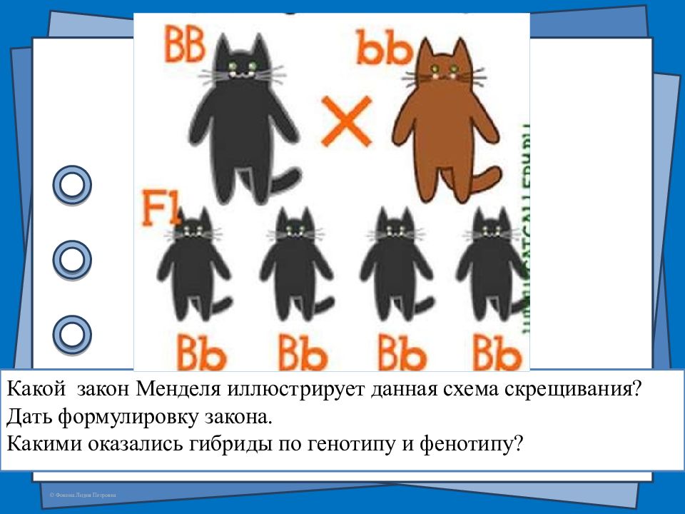 Какой факт иллюстрирует. Законы Менделя схема. Какой закон иллюстрирует данная схема?. Какой закон иллюстрирует данная схема скрещивания?. Какой закон иллюстрирует данный рисунок?.