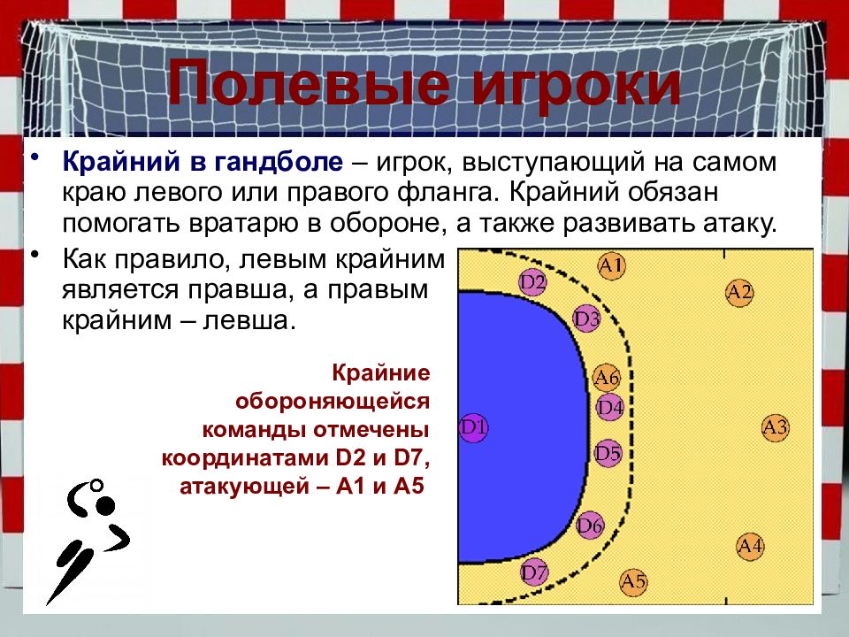 Состав гандбольной команды