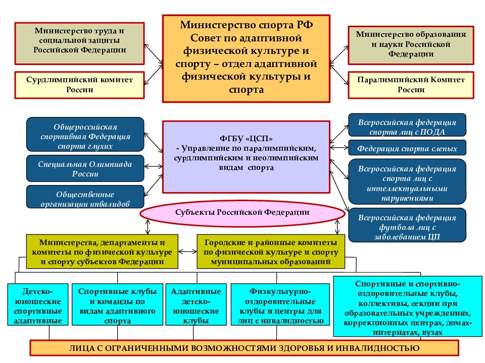 Грант министерства спорта рф для со нко реализующим проекты в сфере фкис