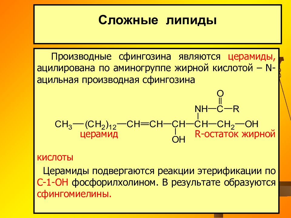 Простые омыляемые липиды