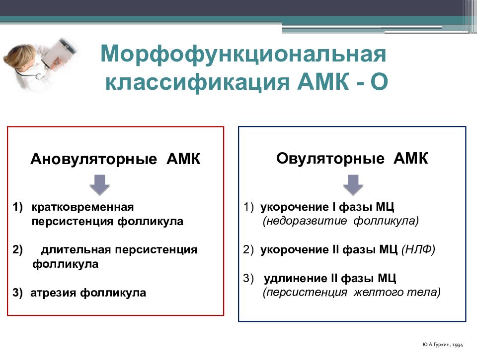 Амк гинекология презентация