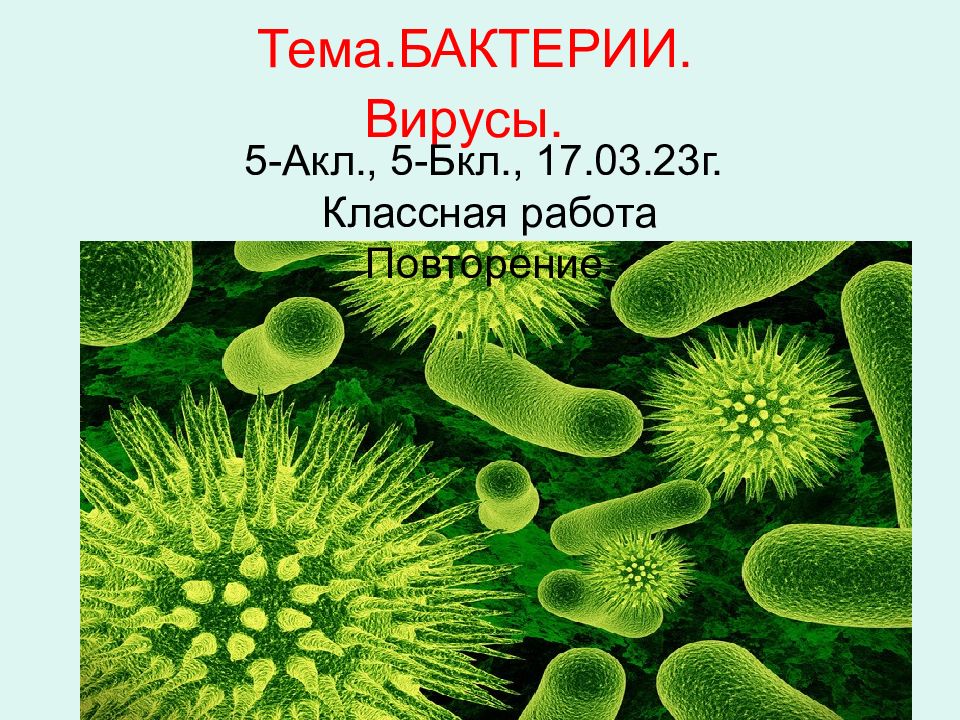 Тема.БАКТЕРИИ. Вирусы.