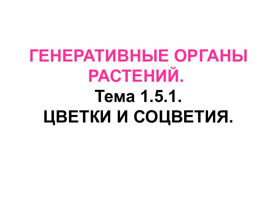 ГЕНЕРАТИВНЫЕ ОРГАНЫ РАСТЕНИЙ. Тема 1.5.1. ЦВЕТКИ И СОЦВЕТИЯ.