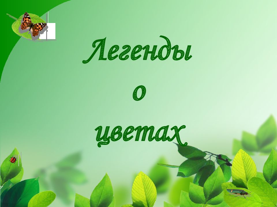 Легенды о цветах