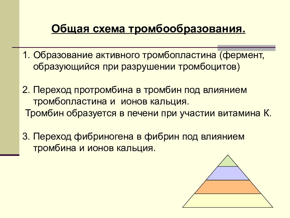 И общего активную образования. Образование активного тромбопластина.