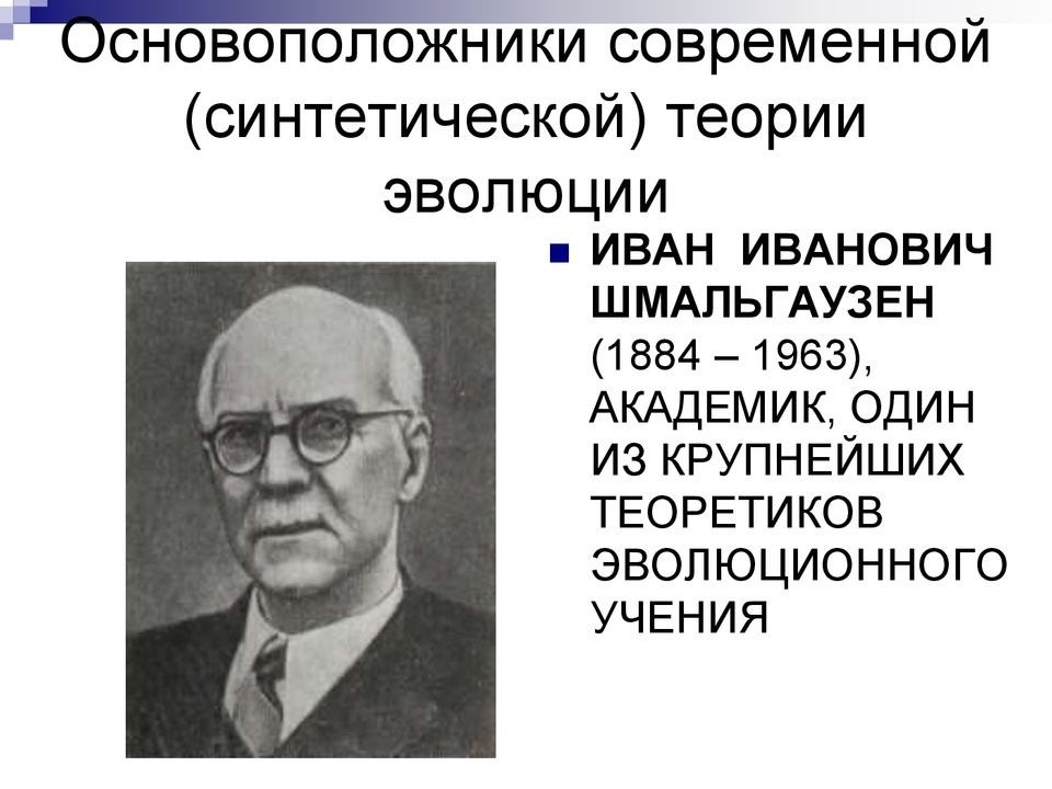 Презентация на тему синтетическая теория эволюции