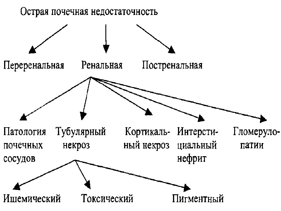 Хроническая болезнь почек у детей презентация педиатрия