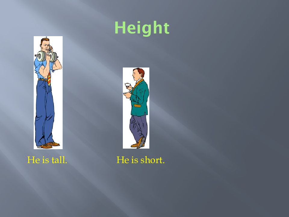 He was taller than me. Is he Tall or short?. He is Tall. He is Taller. Spotlight 5 who is who.
