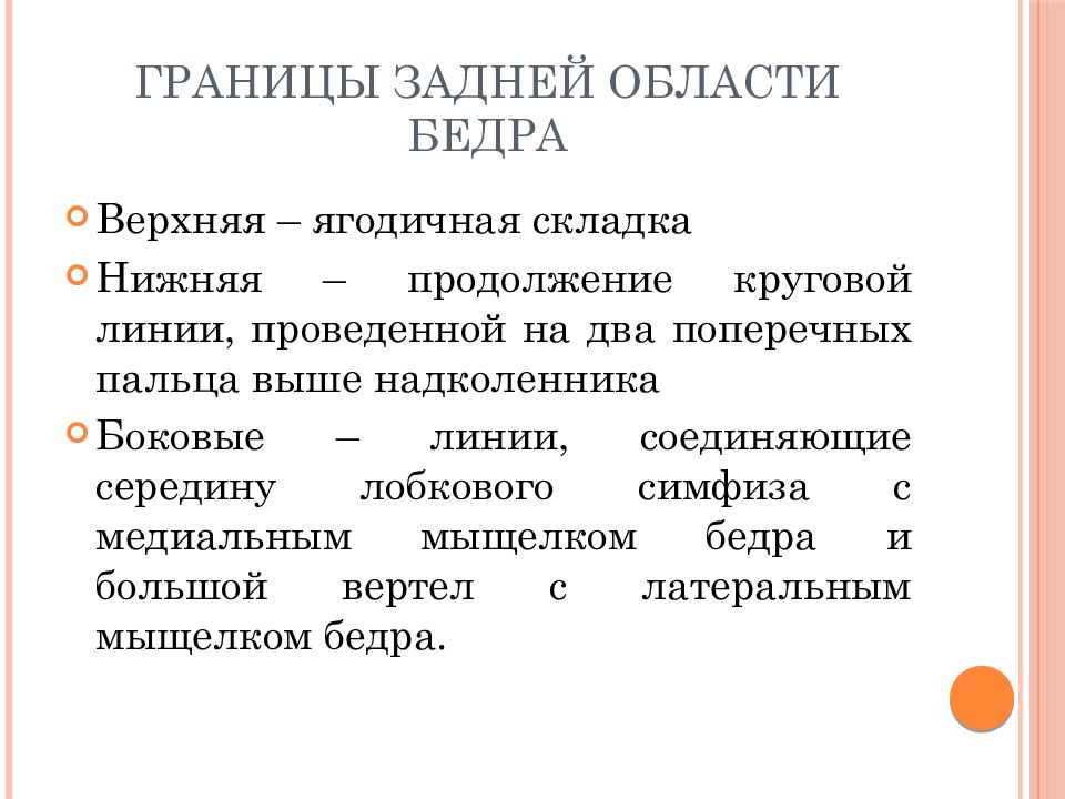 Топографическая анатомия нижней конечности презентация