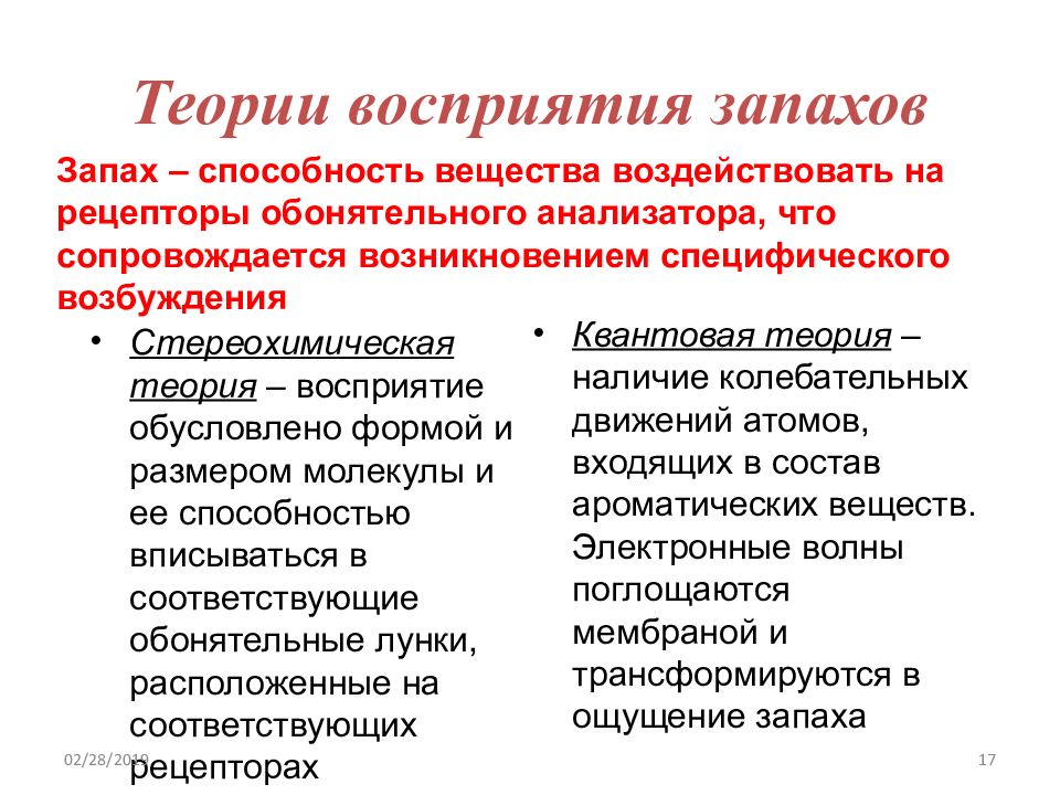 Теория понимания. Теория восприятия запахов физиология. Стереохимическая теория восприятия запахов. Классификация запахов, теория их восприятия.. Теория первичных запахов.