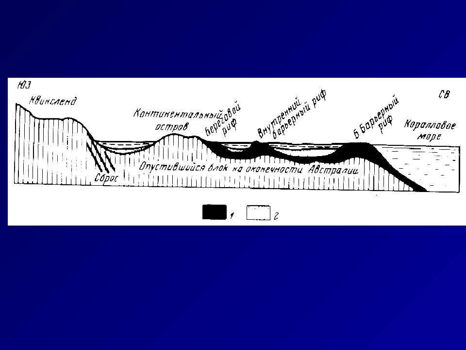 Геологическая деятельность морей и океанов. Геологическая деятельность океанов.