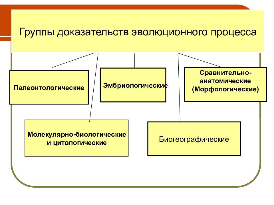 Подготовьте сообщение или мультимедийные презентации о доказательствах эволюции