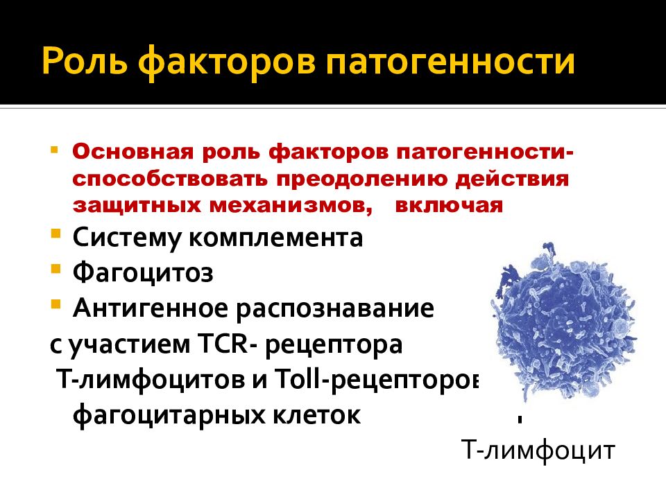 Факторы патогенности. Факторы патогенности бактерий. Факторы патогенности микроорганизмов. Факторы патогенности вирусов.