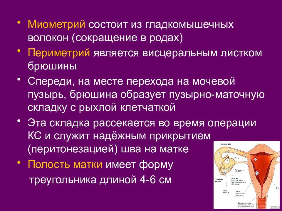 Заболевания женской репродуктивной системы презентация