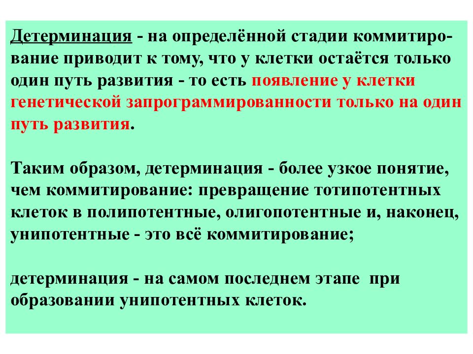 Детерминация это. Детерминация. Понятие детерминации. Генетическая детерминация. Процесс детерминации.