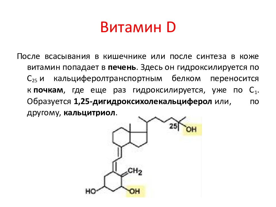 Витамин к презентация биохимия