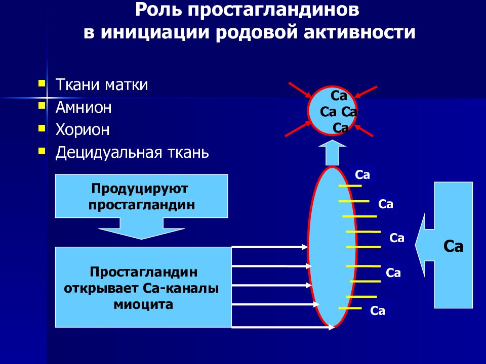 Причины наступления родов презентация