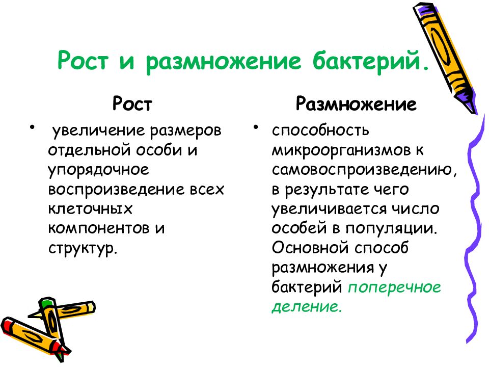 Рост это кратко. Рост и размножение бактерий. Классификация размножения микроорганизмов. Фазы роста и размножения микроорганизмов. Рост и размножение бактерий микробиология.