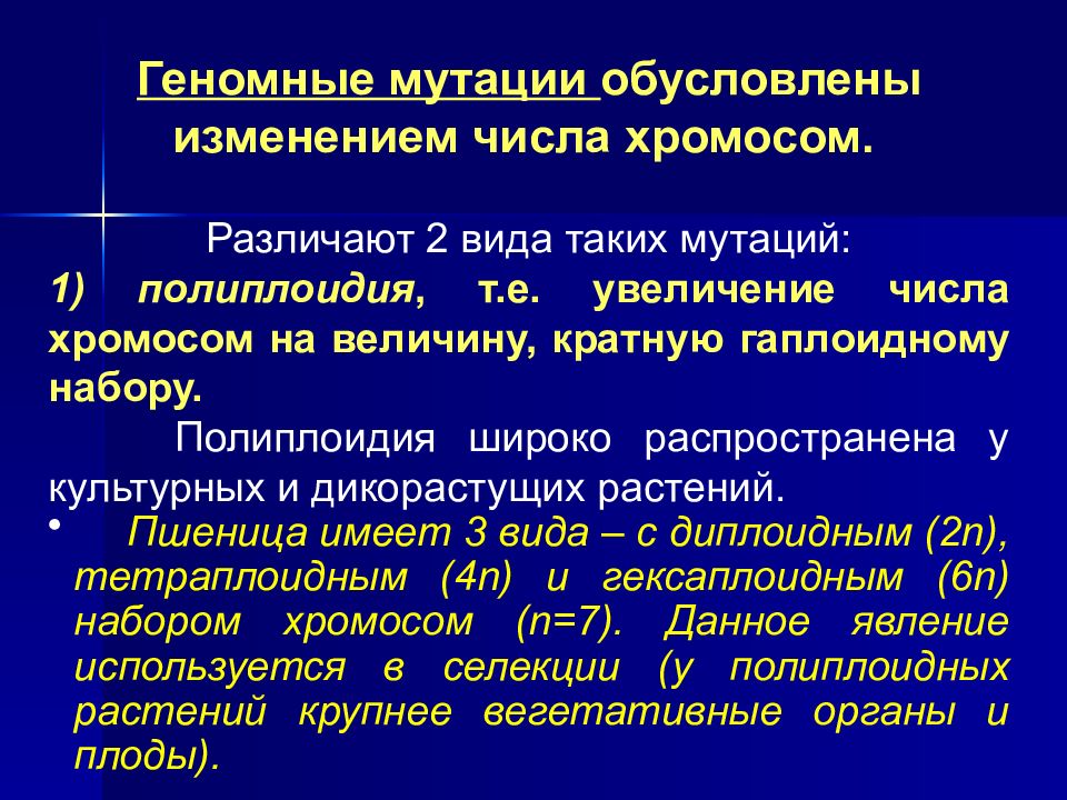 Кратное гаплоидному увеличение числа хромосом. Геномные мутации полиплоидия. Полиплоидия относится к мутациям. Кратное увеличение числа хромосом. Изменение числа хромосом.