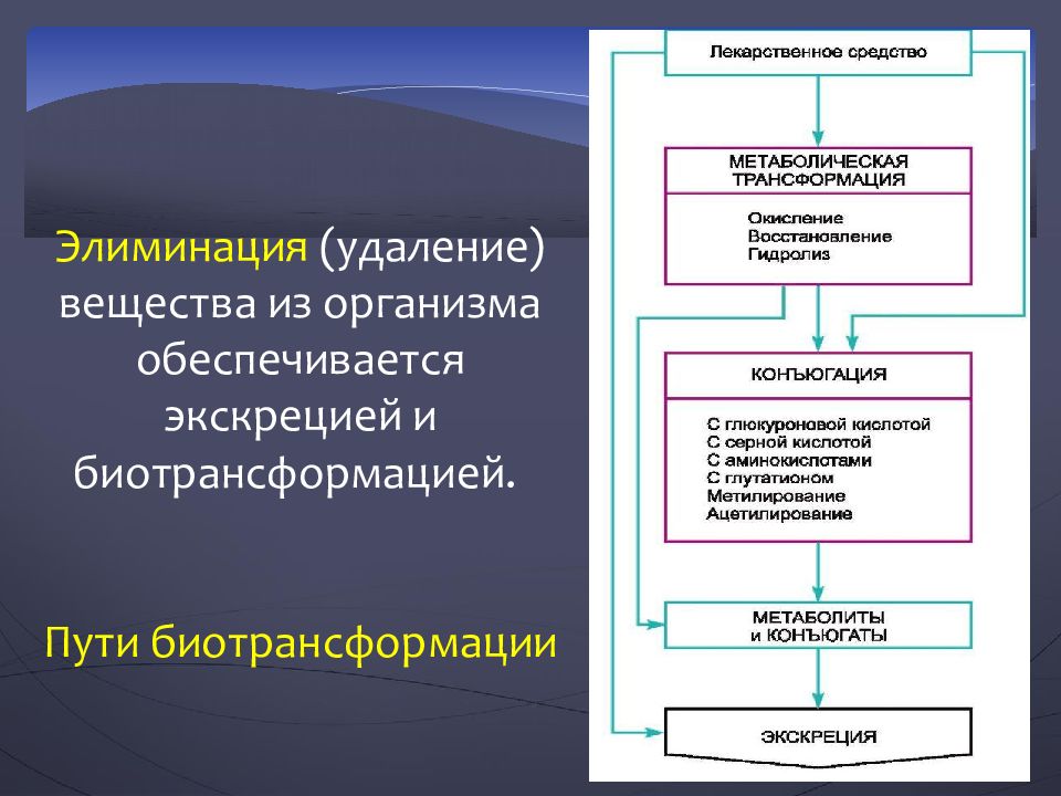 Удаление веществ. Основные пути биотрансформации лекарственных веществ в организме. Элиминация лекарственных веществ. Биотрансформация и конъюгация лекарственных веществ в организме. Биотрансформация это в фармакологии.