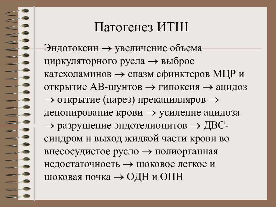 Итш презентация инфекционные болезни