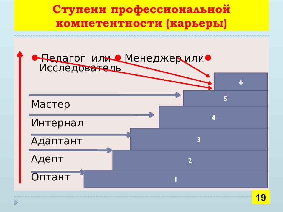 Ступени профессионального образования