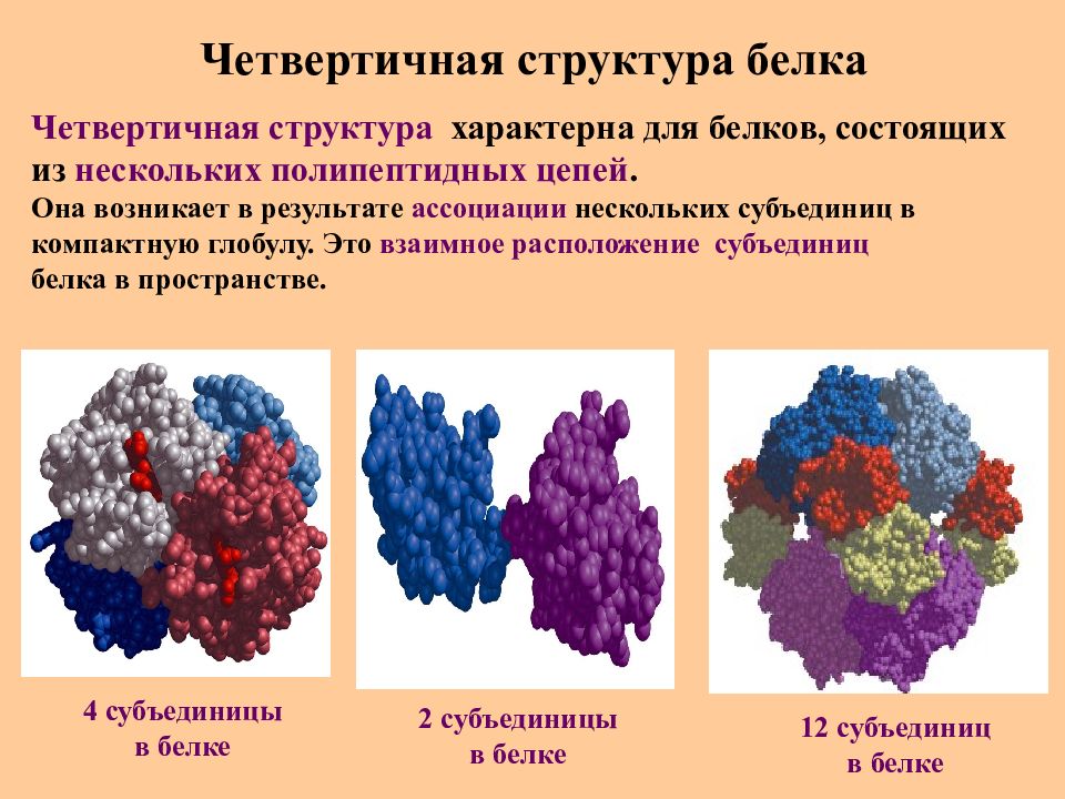 Рисунок четвертичной структуры белка