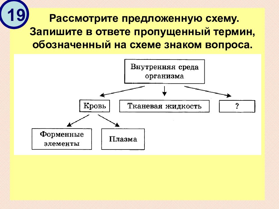 Пропущенный фрагмент текста термин. Рассмотрите схему. Рассмотрите предложенную схему классификации. Пропущенный термин, обозначенный на схеме знаком вопроса. Ответ:. Рассмотрите предложенную схему запишите в ответе пропущенный термин.