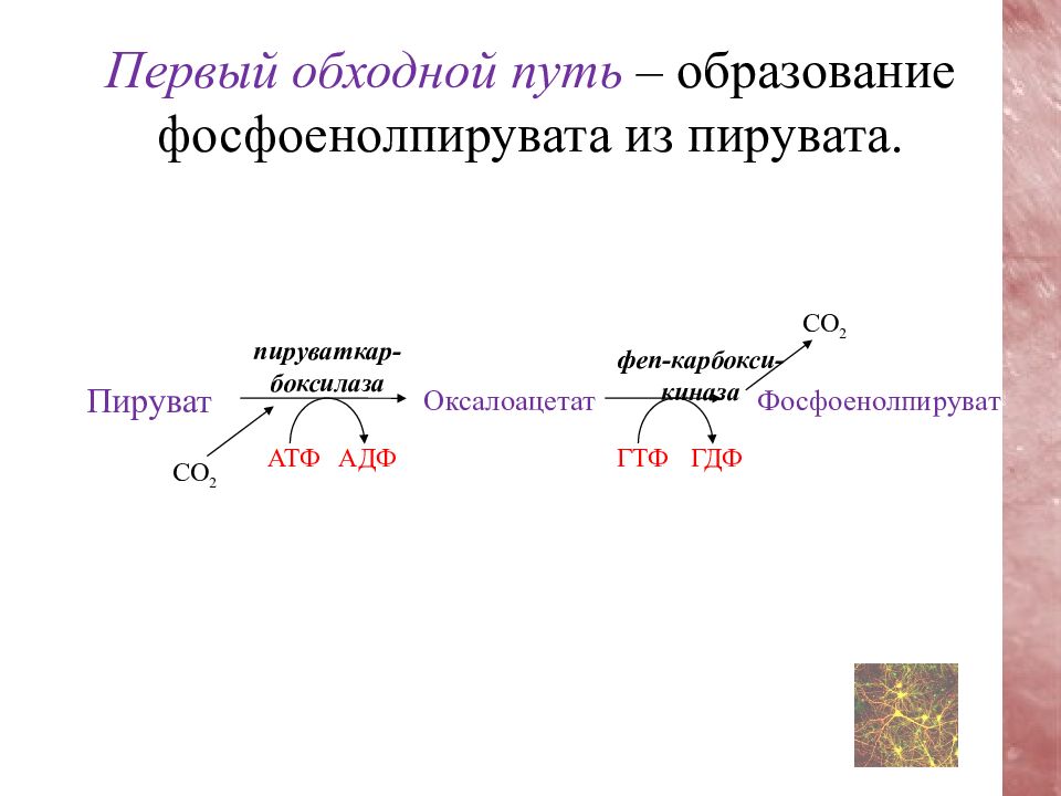 Обходной путь в схеме