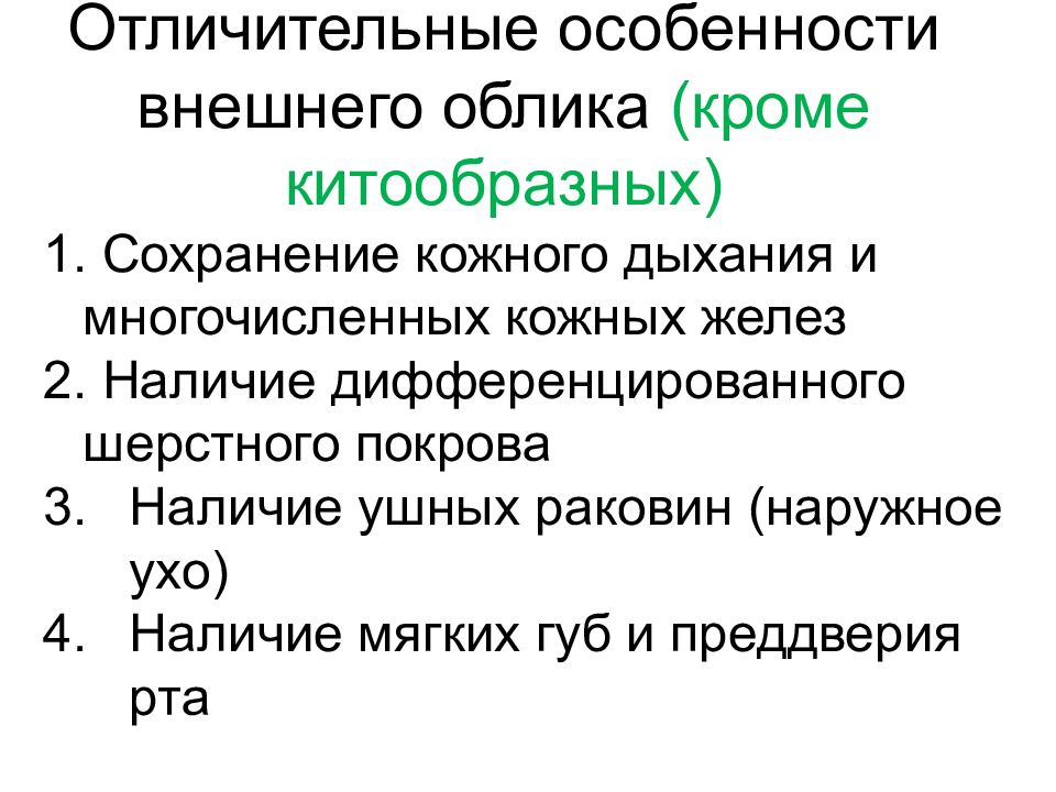 Функции желез млекопитающих таблица. В коже млекопитающих есть железы. Строение шерсти млекопитающих. Функции молочных желез у млекопитающих. Железы млекопитающих.
