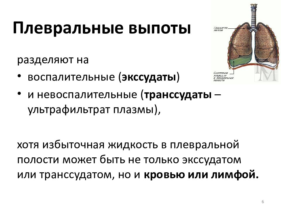 Плевральный выпот презентация