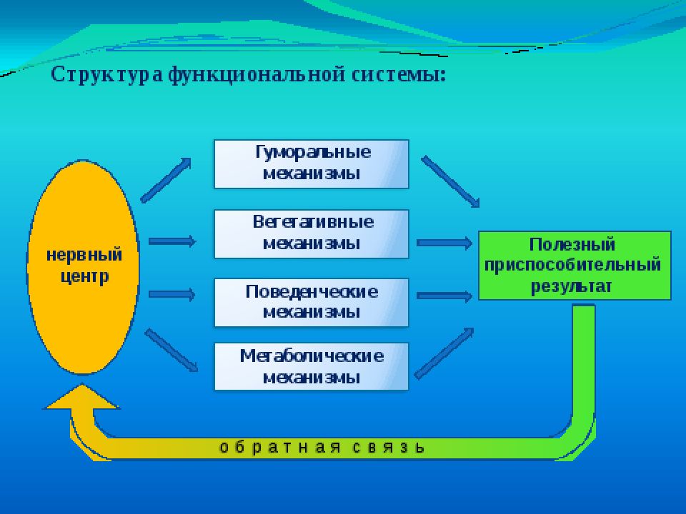 Становление физиологии как науки презентация