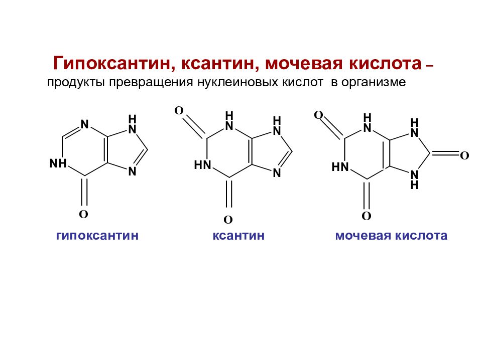 Мочевая кислота продукты. Гипоксантин ксантин мочевая кислота. Аденин в гипоксантин. Ксантин формула структурная. Превращение аденин гипоксантин ксантин.