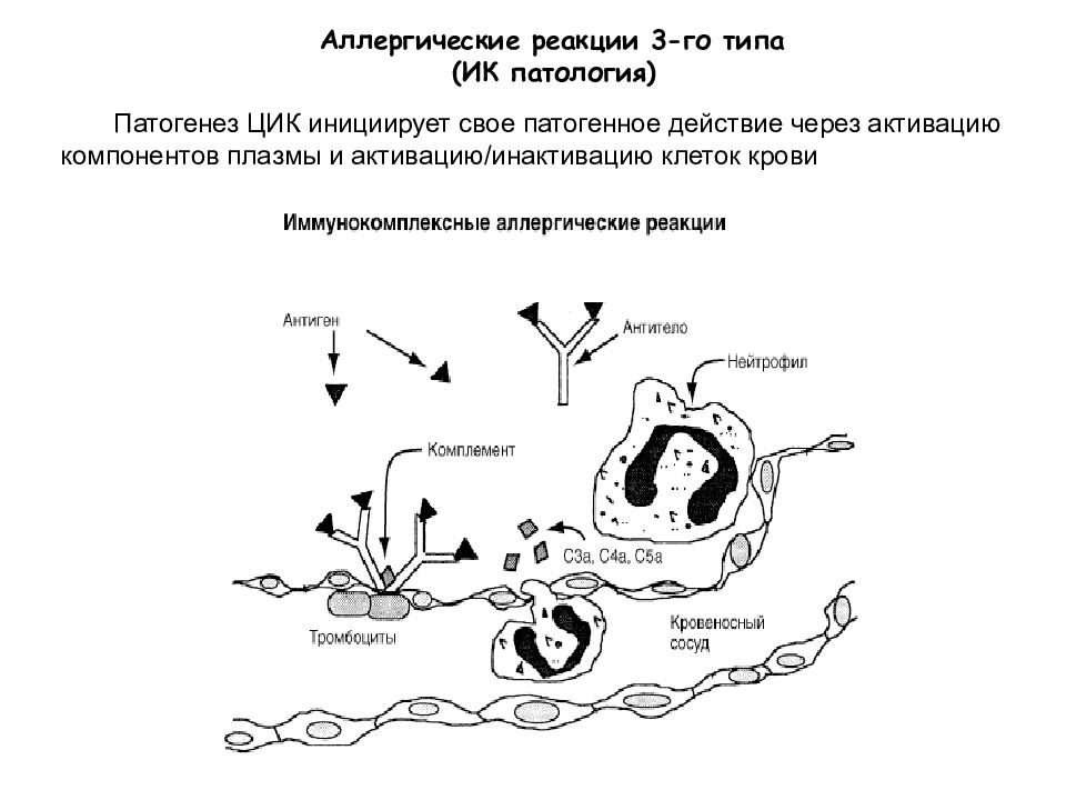 Аллергическая реакция карта