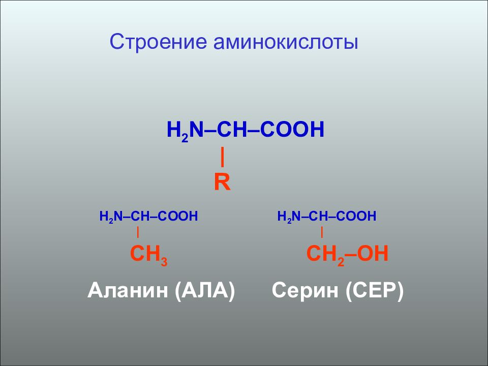 N2 h2. H2n-Ch-ch2-Cooh. Аминокислоты h2n-ch2-Cooh. Строение аминокислот h2n-Ch-Cooh. H2n-ch2.