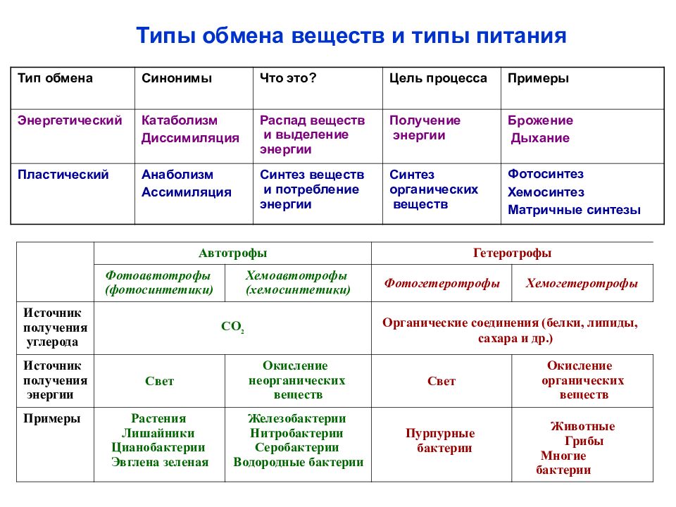 Типа обмена: найдено 89 картинок