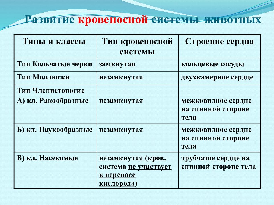 Презентация зоология беспозвоночных